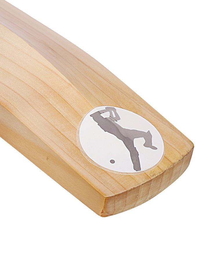 Whack Platinum Cricket Bundle Kit