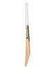 WHACK Player English Willow Cricket Bat - Small Adult