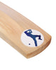 WHACK Pro Cricket Bundle Kit - Youth